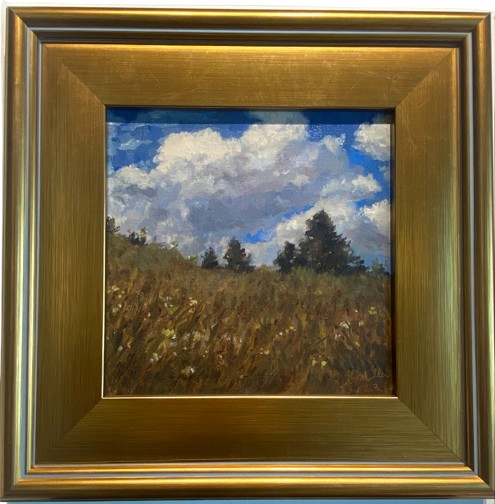 Hillside Meadow