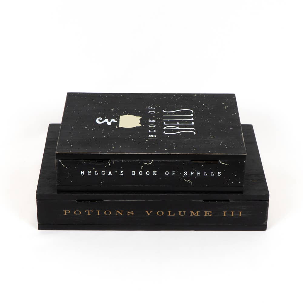 50442 - 8x12 box w/hinge s/2 (BOOK SPELLS) HALLOWEEN Decor