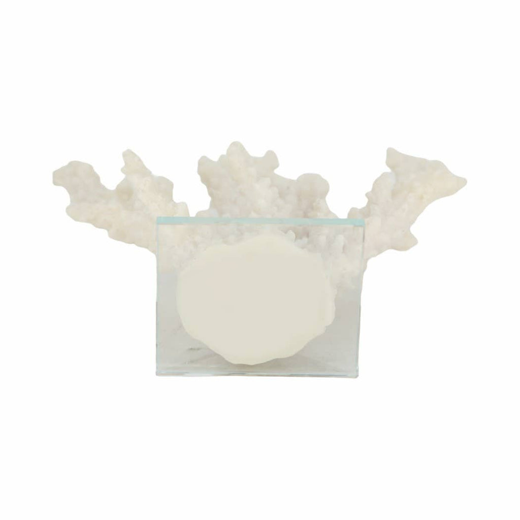 White Resin Branching Coral on Glass Base Figurine