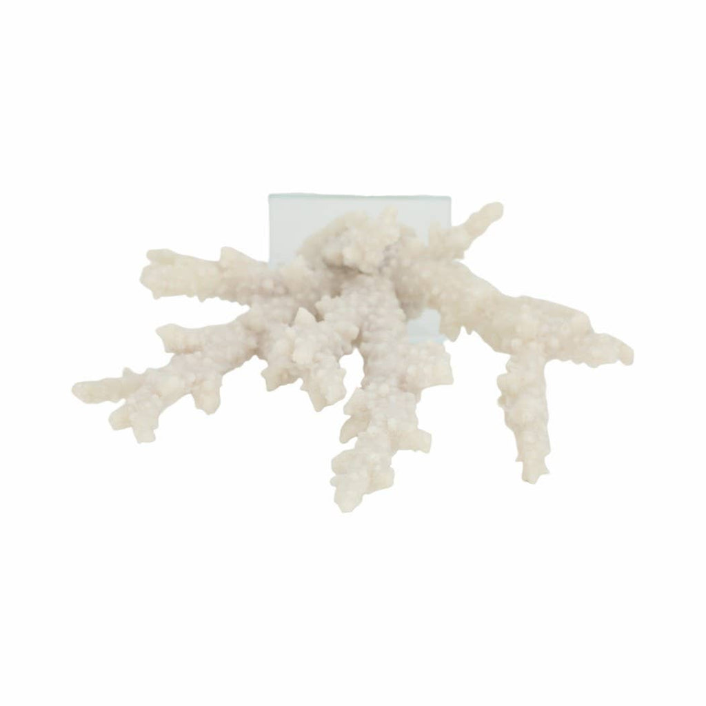 White Resin Branching Coral on Glass Base Figurine