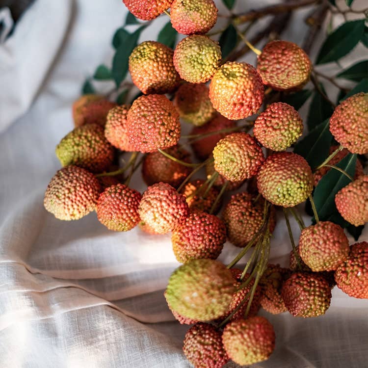 Artificial Fruit Lychee Stem 27" Tall