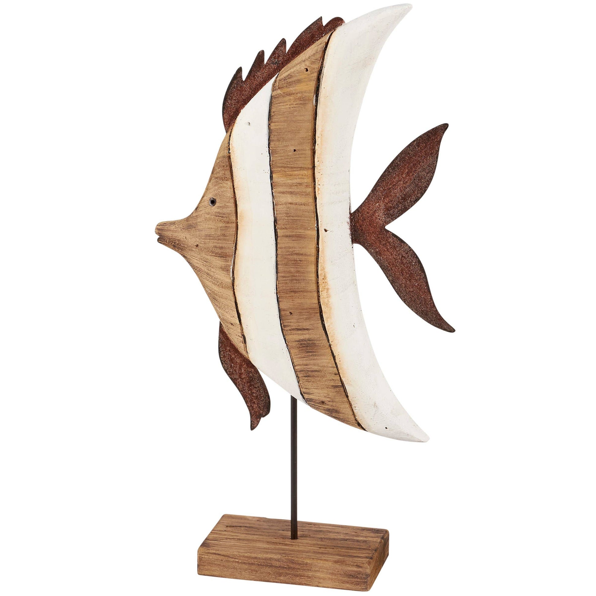 Angelfish Sitter