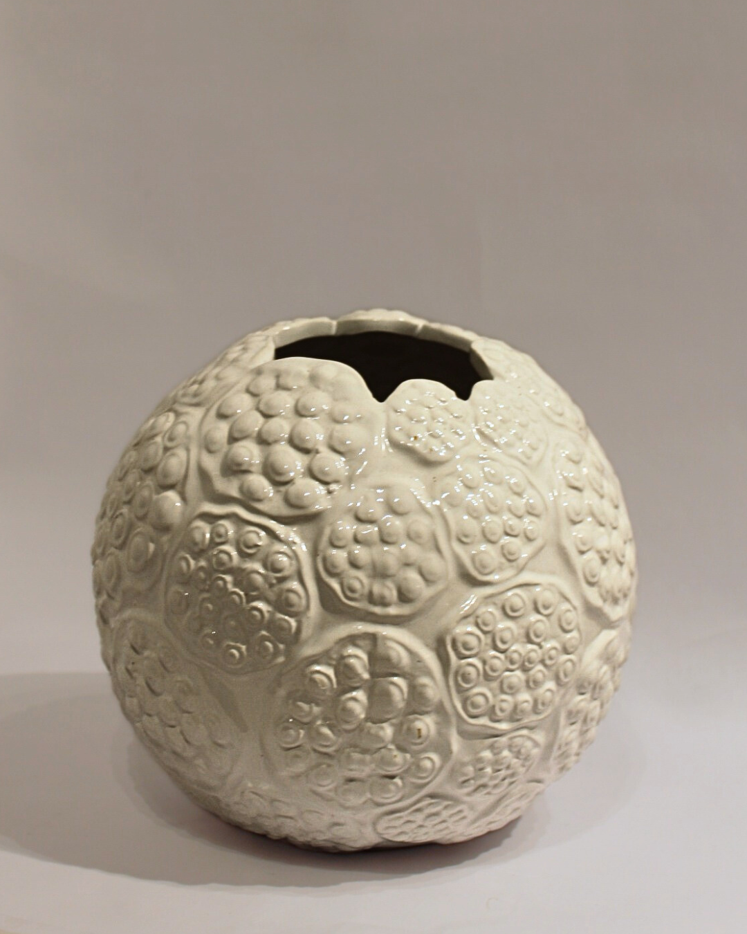 White Barnacle Vase