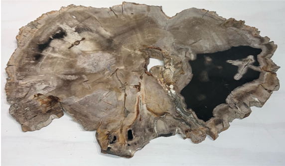 Live Edge Petrified Wood Tray