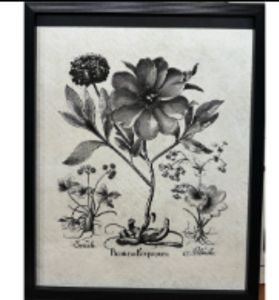 Black and White Floral Art Set