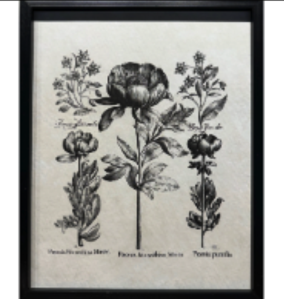 Black and White Floral Art Set