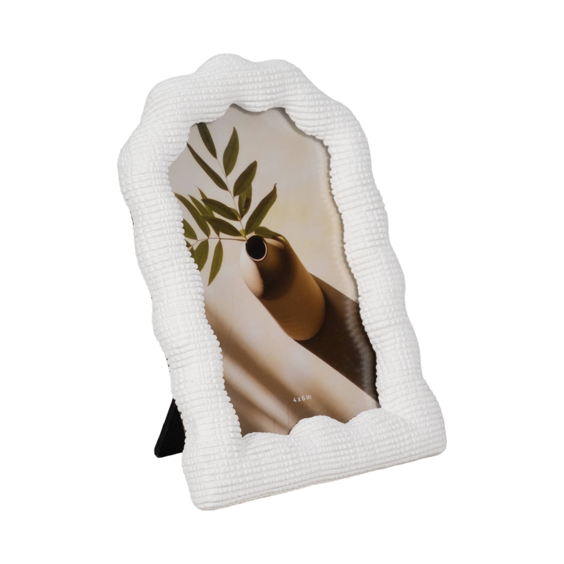 Resin Sculptural Texture Photo Dome Frame - White, 4x6 in.