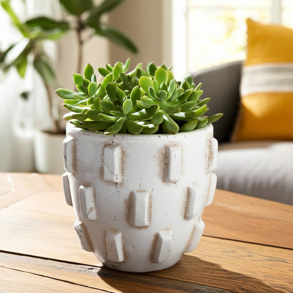 Terracotta Sculptural Hobnail Planter - White, 8 in.