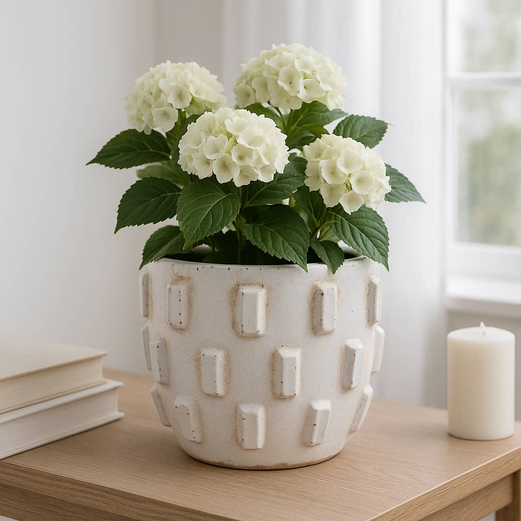 Terracotta Sculptural Hobnail Planter - White, 8 in.