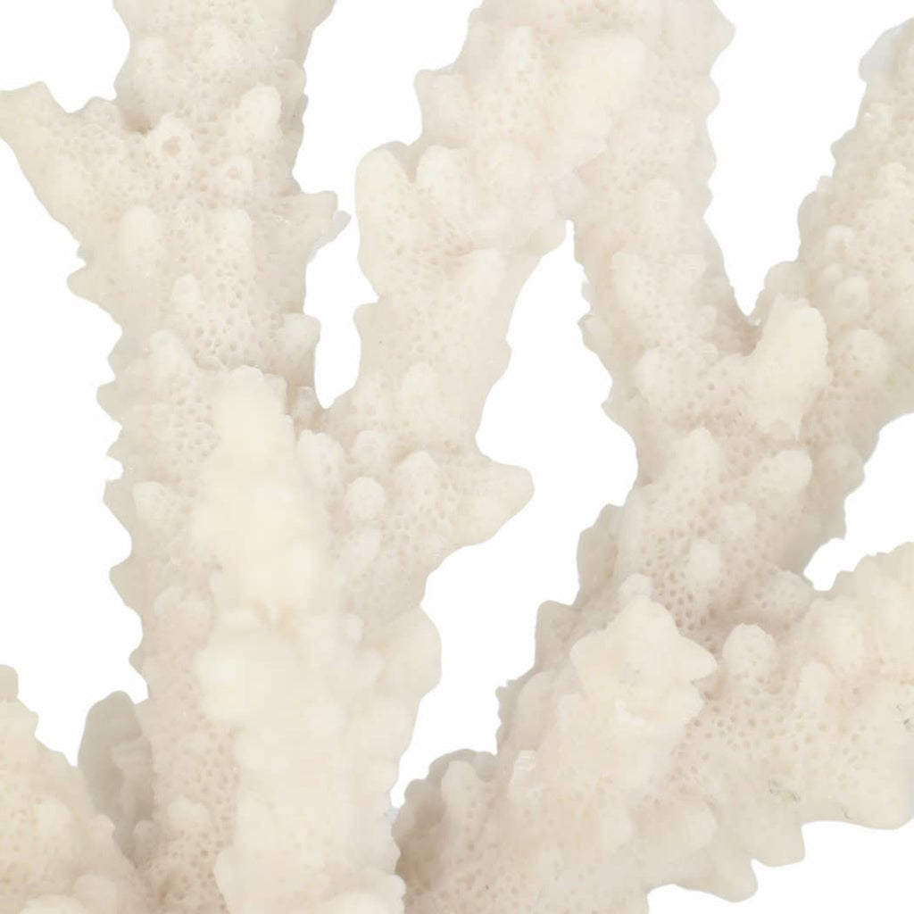 White Resin Branching Coral on Glass Base Figurine