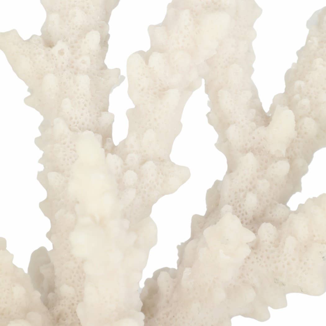 White Resin Branching Coral on Glass Base Figurine