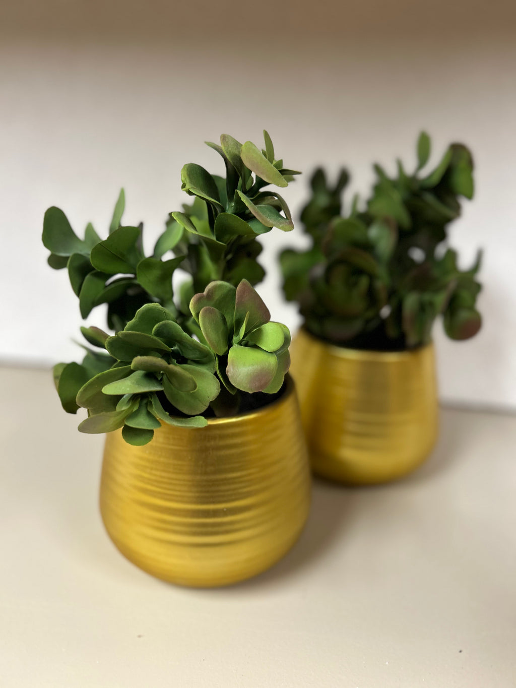 CB2 - Faux Plant in Gold Pot