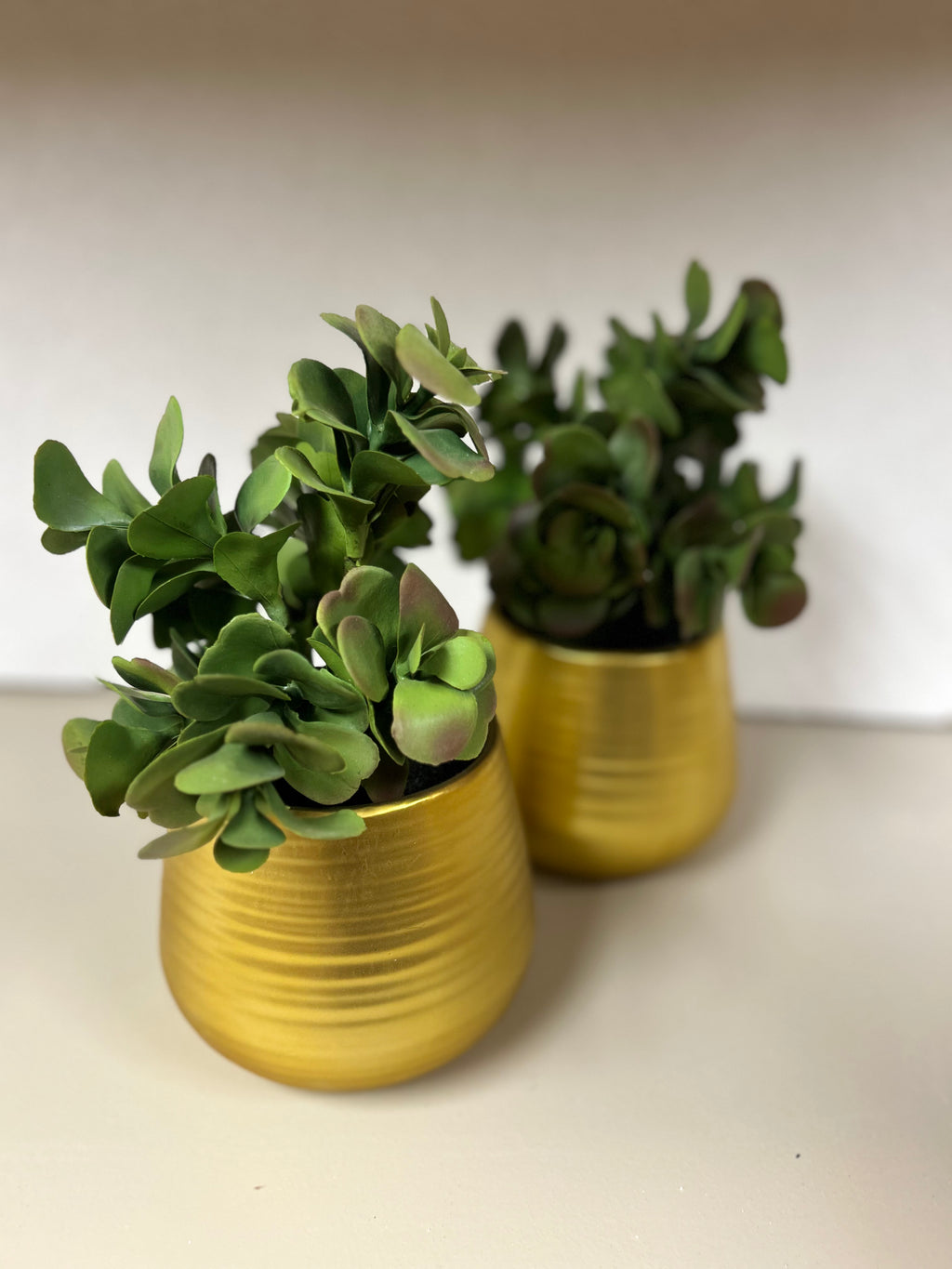 CB2 - Faux Plant in Gold Pot